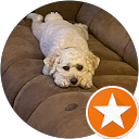 Victor Przedpelski profile picture